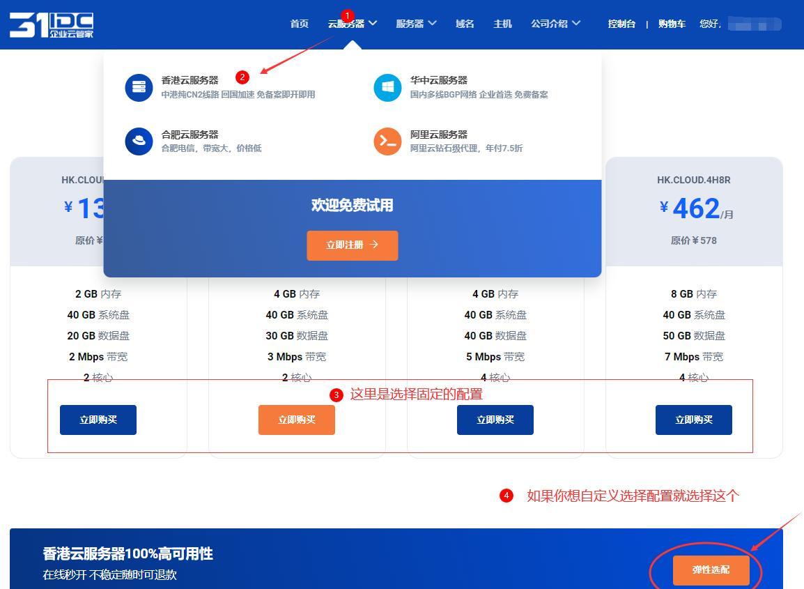 31IDC 香港VPS购买入口