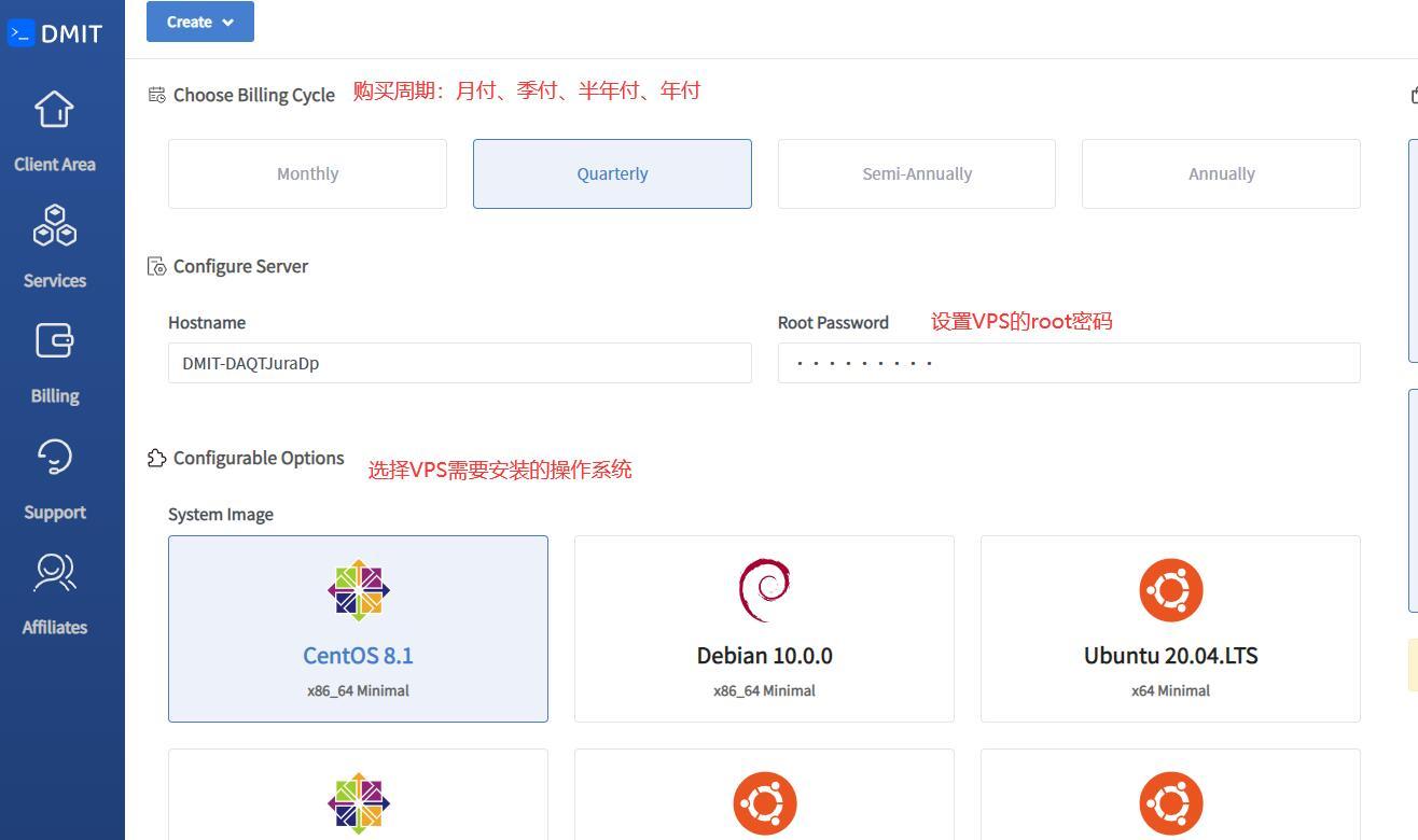 DMIT VPS购买教程 - 配置选择