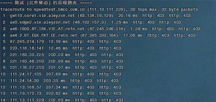 DogYun狗云VPS测评：1核@AMD 5950X 512MB内存 50Mbps端口 香港BGP KVM VPS