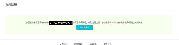 【狮子云】阿里云国际版账号注册充值教程-无paypal信用卡即可充值购买服务器等产品